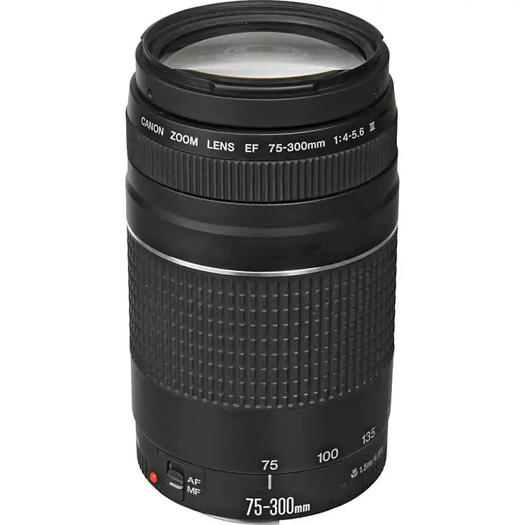 Canon EF 75-300mm III Lens