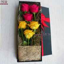  باکس گل جعبه کادویی با گل رز هلندی قرمز و زرد