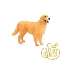 سگ زنده یاب طلایی Golden Retriever 387198