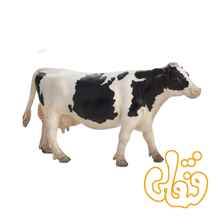  گاو شیرده سفید و سیاه هلشتاین Holstein Cow 387062