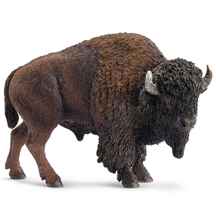  بوفالو کوهان دار آمریکایی American Bison Buffalo 387024