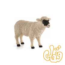  گوسفند صورت سیاه ماده Black Faced Sheep ewe 387058