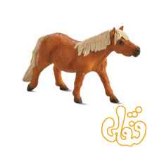  کره اسب شتلند Shetland Pony 387231