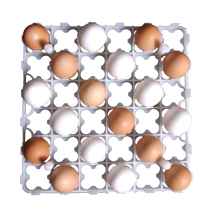 شانه تخم مرغ دستگاه جوجه کشی 36 عددی پارس مدل PT-403 ا Pars Egg Tray PT-403