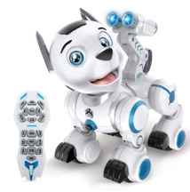  ربات سگ کنترلی رباتیک مدل k10