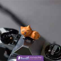 درپوش کفشک فلاش‌ دوربین(cat4)
