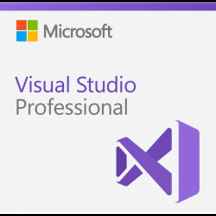  Visual Studio Professional 2019