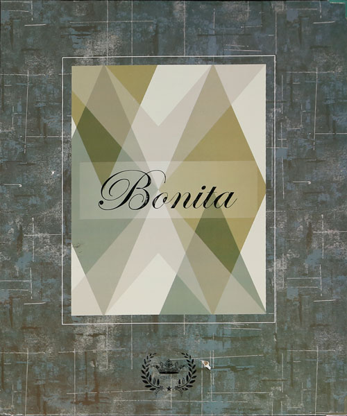  کاغذ دیواری مدرن بونیتا Bonita