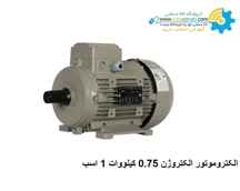 الکتروموتور الکتروژن سه فاز 0.75 کیلووات 1 اسب |کمترین قیمت |  فروش | خرید اینترنتی | تحویل فوری | دیتاشیت