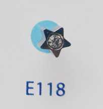  گوشواره E118-inverness