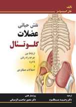  نقش حیاتی عضلات گلوتئال
