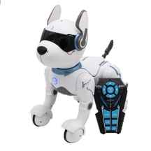  ربات کنترلی مدل سگ پلیس کد 001