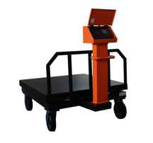 باسکول 1500 کیلویی پیام توزین مدل TS1500 ا Payam Tozin Scale 1500 kg Model TS1500