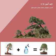 کود اهن 12
