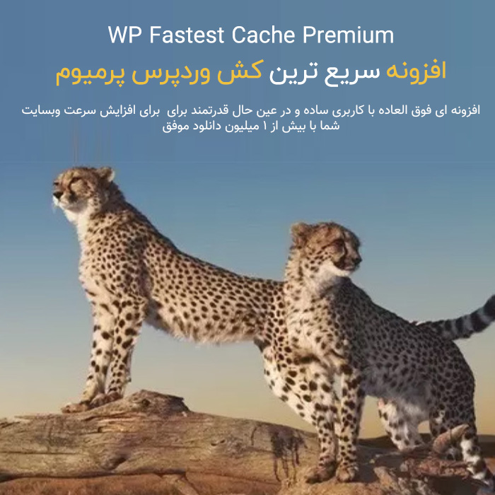  دانلود افزونه سریعترین کش وردپرس – WP Fastest cache premium