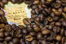  دانه قهوه 100درصد عربیکا کنیا گرید AM (1کیلوگرم)
