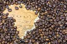  دانه قهوه 100درصد عربیکا برزیل(1 کیلوگرم)