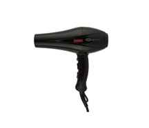  سشوار حرفه‌ ای پرومکس 7240 ا Promax 7240 Professional Hair Dryer کد 263472